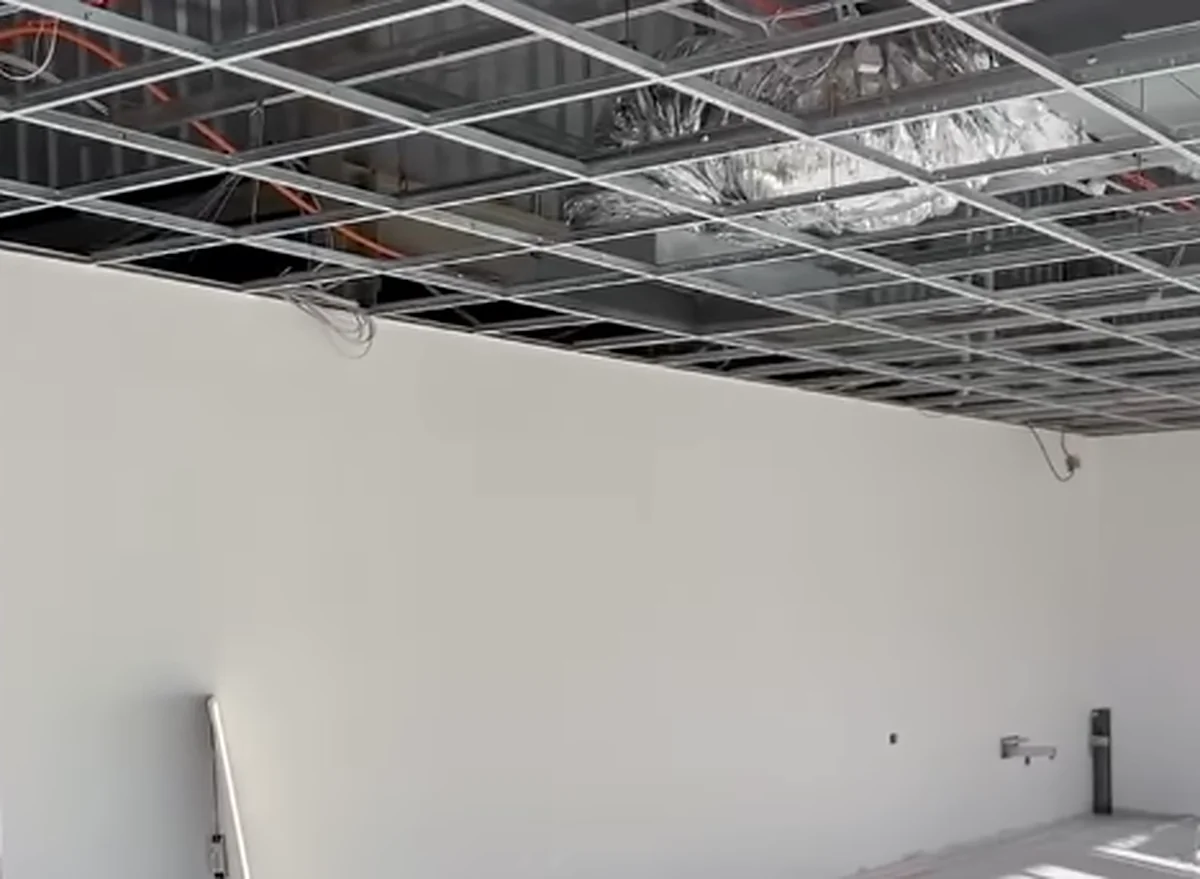 An exposed ceiling grid over a commercial fitout, with ductwork and cabling above it and a sheeted wall below.