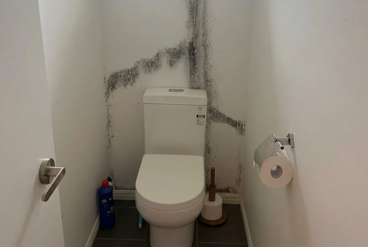 A toilet corner with black mould spreading up the wall and along the junction with the ceiling.