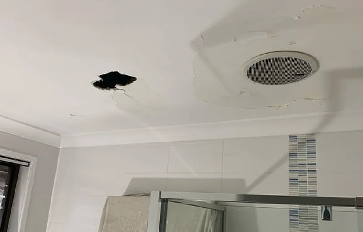 A bathroom ceiling with a dark hole opened in the plaster beside the exhaust fan and the surface cracking around it.
